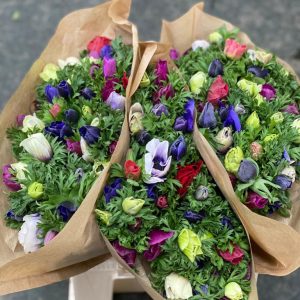 Anemoni